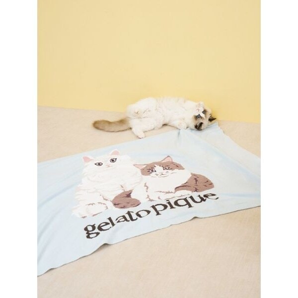キャットジャガードブランケット | ジェラート ピケ(gelato pique