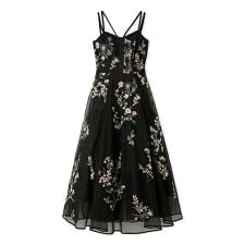 スナイデル(SNIDEL)のエンブロイダリーチュールドレス