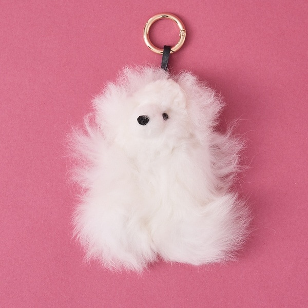 [}C]yWEBzyCOSY/R[W[zxA[ obO`[ L[O/RbNXicollexj zCg