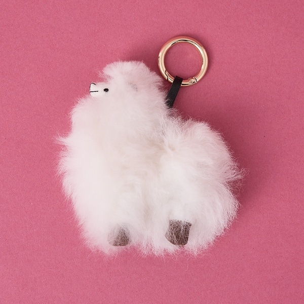 [}C]yWEBzyCOSY/R[W[z ~jV[v obO`[ L[O/RbNXicollexj zCg