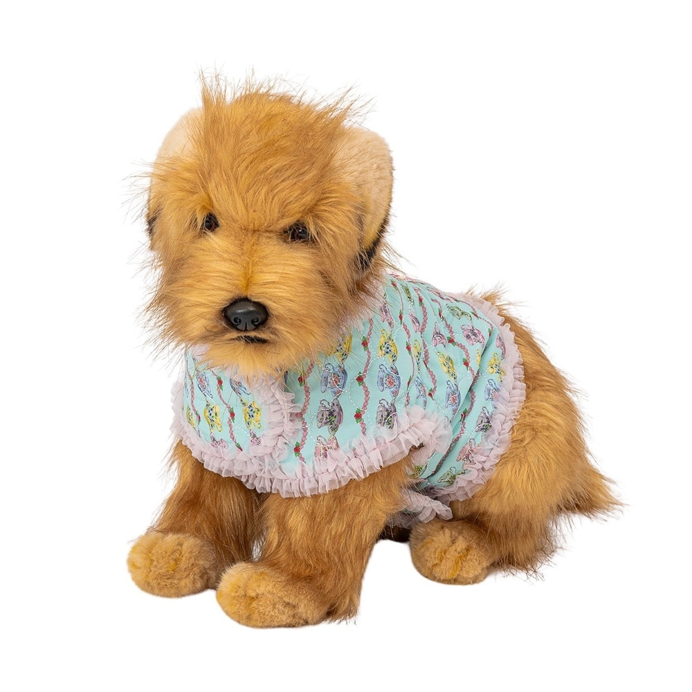 [}C]POPPY KATE | \tgn[lX (p / MTCY)/tFtFifafaj MI.TEACUP