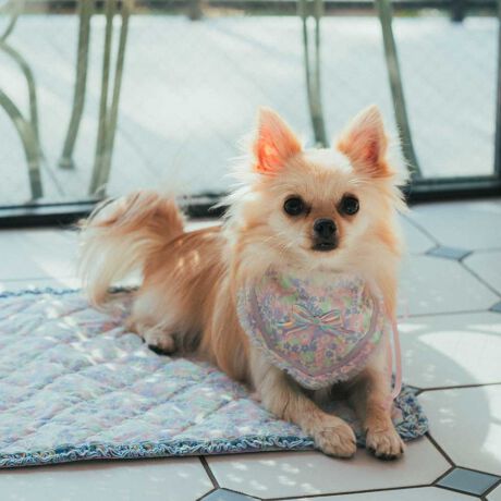 [^:7251-2002]p̃o_ifUCruoIʂɂ͕ۗ܂|Pbgtłɉ΍I܂AXgbvŎ肪ł̂ŒEX[Yɂł̂􁦎ւƂĂ͂g܂B񒅗p̃ru̓TvłBۂ̎dl͏iʐ^mFB