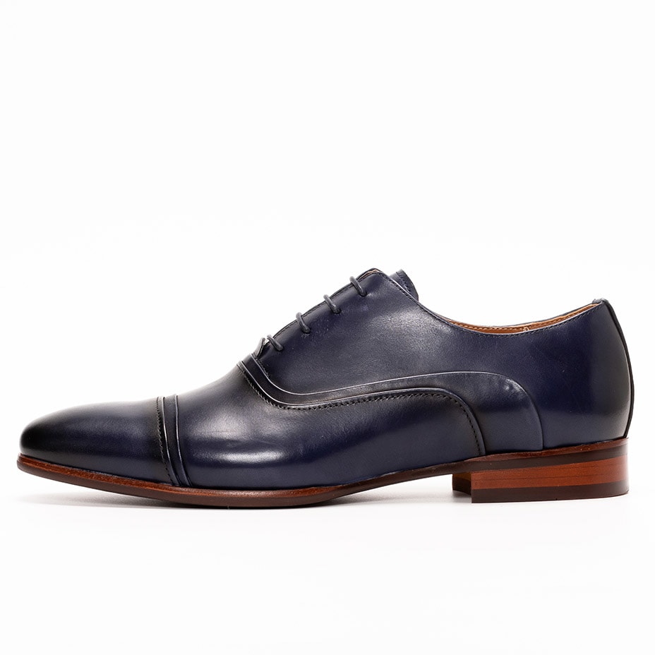 [}C]U[ hXV[Y / Xg[g`bv [XAbv/VEXiLUCIUSj lCr[