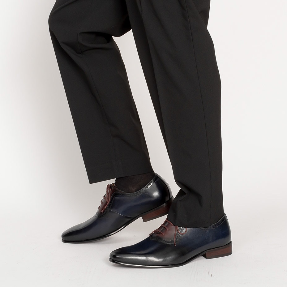 [}C]U[ hXV[Y / H v[gD _I/VEXiLUCIUSj lCr[