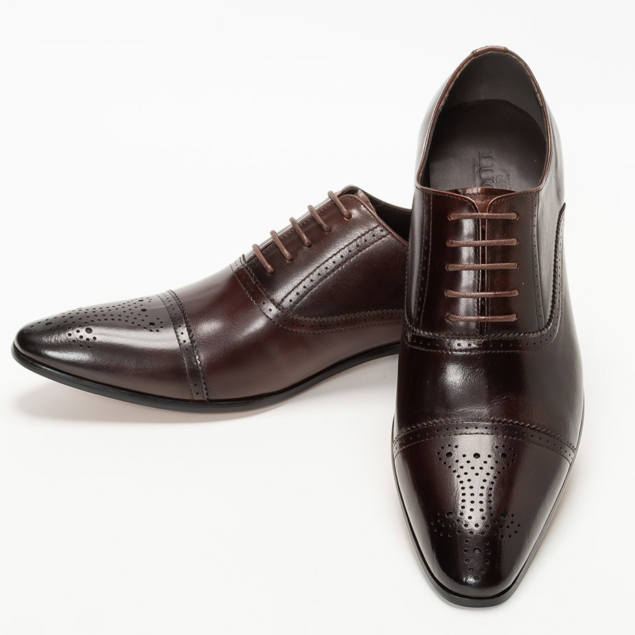 [}C]Xg[g`bv _I hXV[Y / [XAbv/VEXiLUCIUSj R[q[