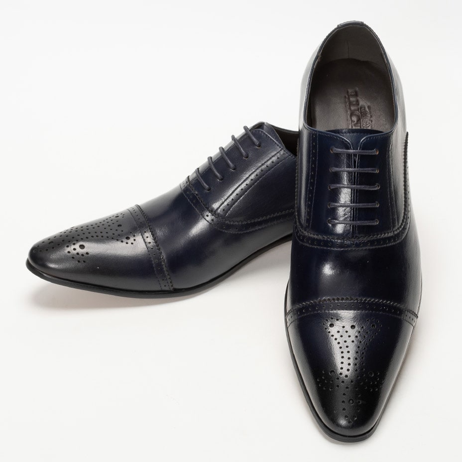 [}C]Xg[g`bv _I hXV[Y / [XAbv/VEXiLUCIUSj lCr[