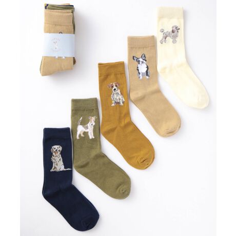 [^:56817939]Jubilee Socks[bp𒆐SƂẼfUCi[ɂA|bvŃL[gȃhbOfUCCłBTiyAjZbgłBRbg80%ɃiCAXpfbNXĂALkA󂵂Ăk܂AɂhLʂ܂BTCY̓jZbNXTCYƂȂĂ܂B