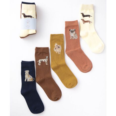 [^:56817939]Jubilee Socks[bp𒆐SƂẼfUCi[ɂA|bvŃL[gȃhbOfUCCłBTiyAjZbgłBRbg80%ɃiCAXpfbNXĂALkA󂵂Ăk܂AɂhLʂ܂BTCY̓jZbNXTCYƂȂĂ܂B