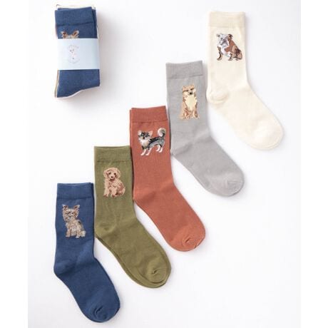 [^:56817939]Jubilee Socks[bp𒆐SƂẼfUCi[ɂA|bvŃL[gȃhbOfUCCłBTiyAjZbgłBRbg80%ɃiCAXpfbNXĂALkA󂵂Ăk܂AɂhLʂ܂BTCY̓jZbNXTCYƂȂĂ܂B