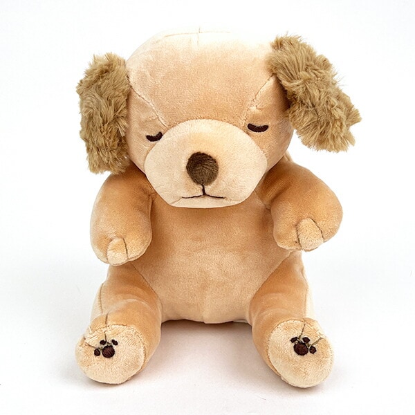 [}C]v~A˂ނ˂ \ ܂iSj ʂ S[f{o[ /p[tFNgE[hEg[L[iPerfect World Tokyoj