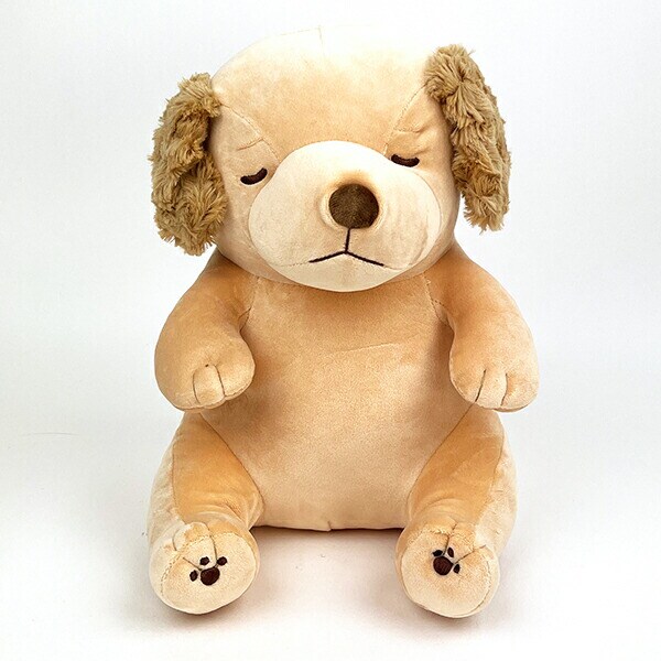 [}C]v~A˂ނ˂ \ ܂(M) ʂ S[f{o[/p[tFNgE[hEg[L[iPerfect World Tokyoj