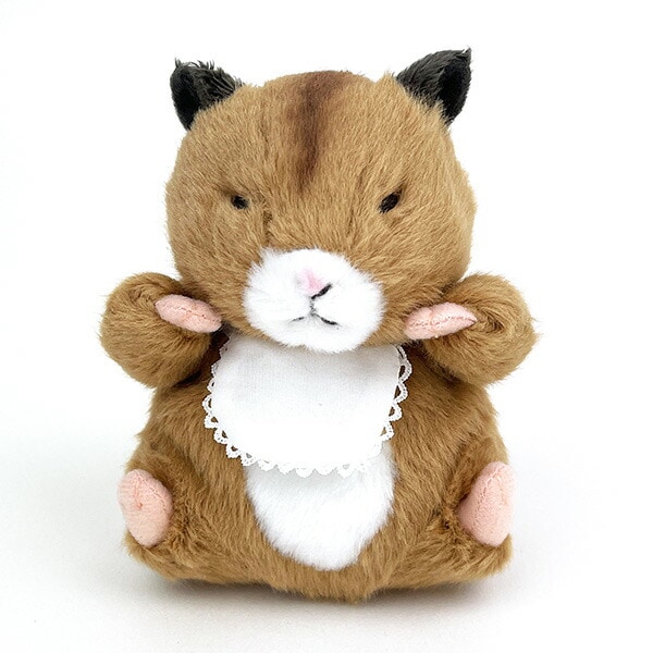 [}C]Z̓ W  ʂ/p[tFNgE[hEg[L[iPerfect World Tokyoj