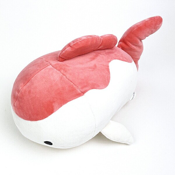 [}C]}V}ANA~G {X^[() ʂ NbV/p[tFNgE[hEg[L[iPerfect World Tokyoj