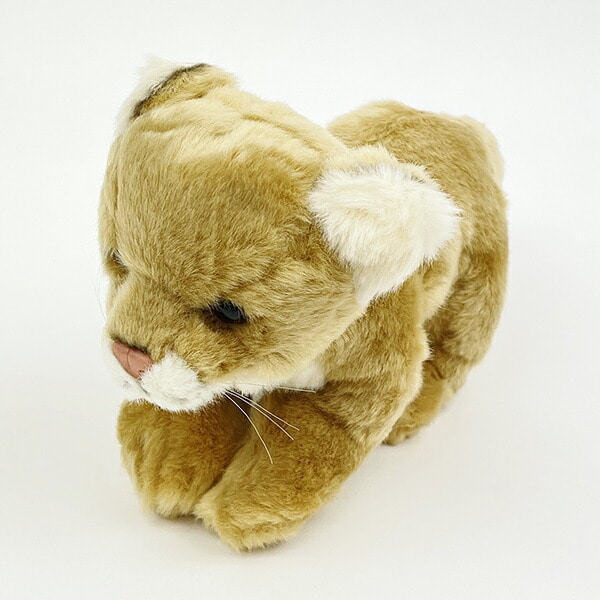 [}C]ʂ ChAj}Y XCI S l` CeA LbY Mtg/p[tFNgE[hEg[L[iPerfect World Tokyoj