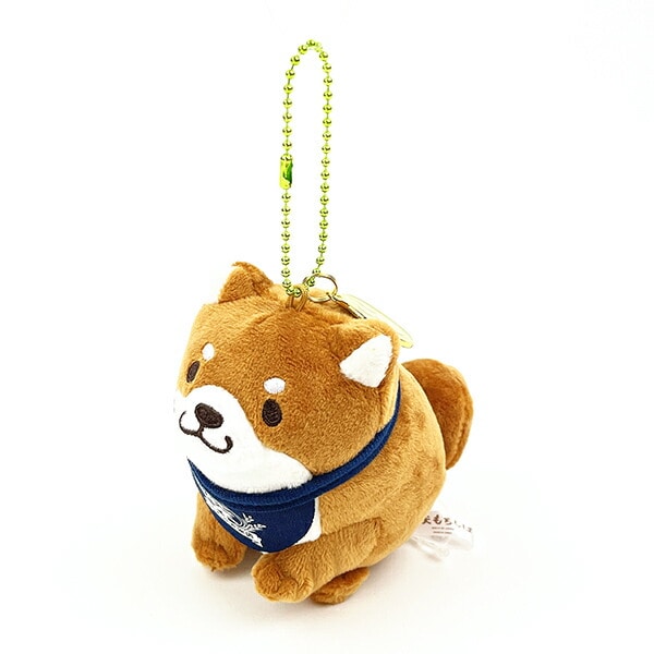 [}C]  ʂ݃{[`F[/p[tFNgE[hEg[L[iPerfect World Tokyoj