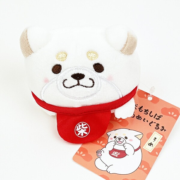 [}C]  낱ʂ/p[tFNgE[hEg[L[iPerfect World Tokyoj