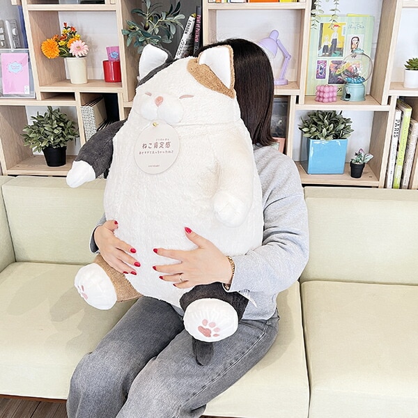 [}C]˂m芴 ݂˂̂ BIGʂ Ԃ͂/p[tFNgE[hEg[L[iPerfect World Tokyoj