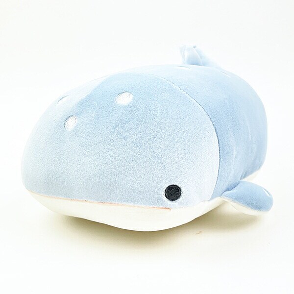 [}C]}V}ANA~G WxGU {X^[NbV ʂ/p[tFNgE[hEg[L[iPerfect World Tokyoj