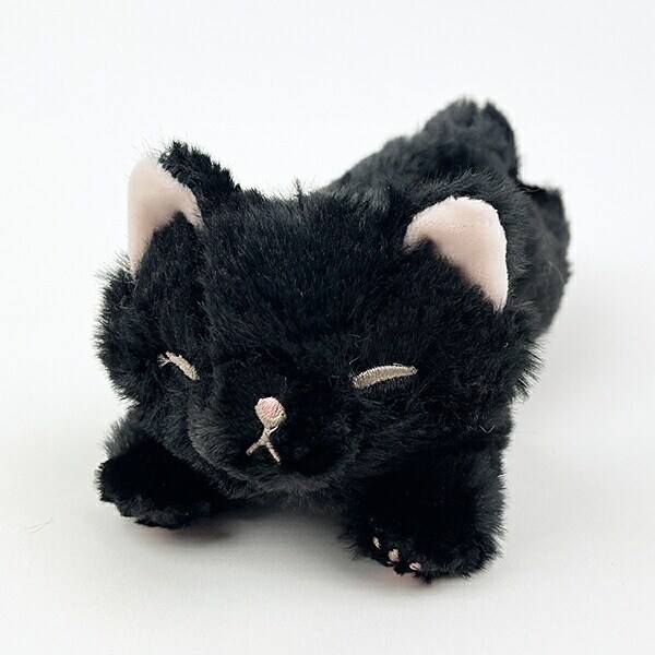 [}C]Ƃт NlR }XRbg ʂ/p[tFNgE[hEg[L[iPerfect World Tokyoj