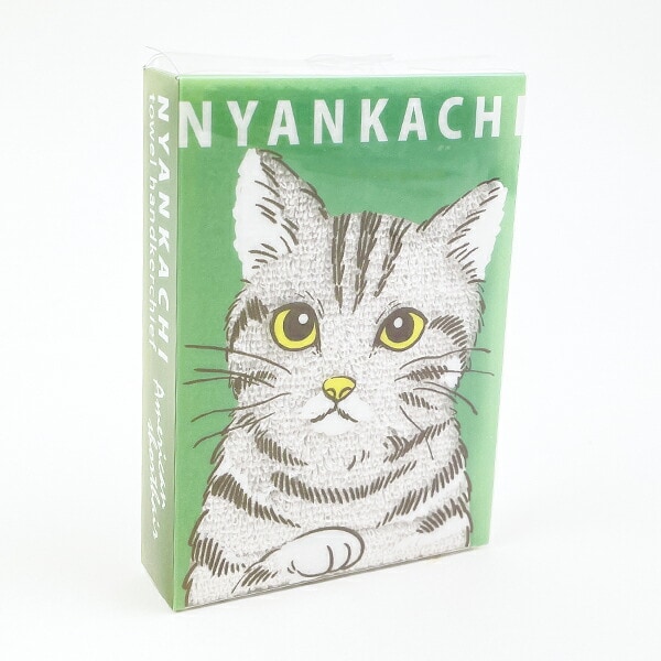 [}C]ɂ񂩂 AJV[gwA nJ` ^I O[/p[tFNgE[hEg[L[iPerfect World Tokyoj