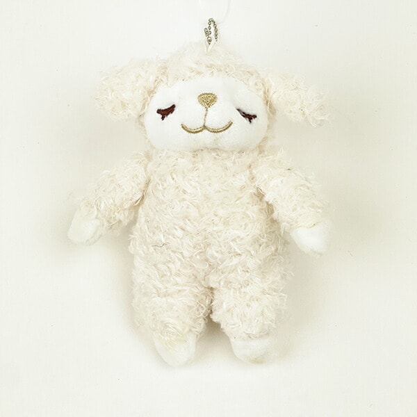 [}C]Ђ̃Cv C }XRbg ʂ/p[tFNgE[hEg[L[iPerfect World Tokyoj