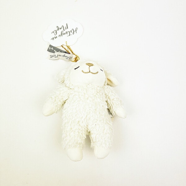 [}C]Ђ̃Cv C L[z_[ ʂ/p[tFNgE[hEg[L[iPerfect World Tokyoj