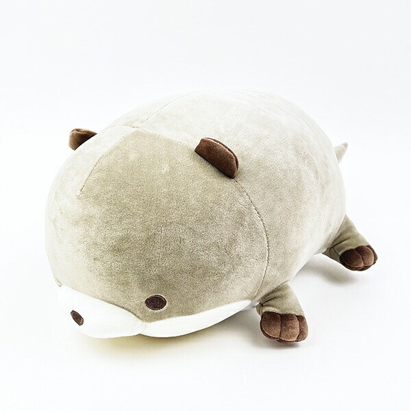 [}C]}V}ANA~G JE\ N[{X^[(L) ʂ Ԃ͂/p[tFNgE[hEg[L[iPerfect World Tokyoj