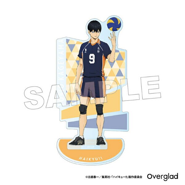 ハイキュー 日向翔陽 アートコースター アトコ ハイキュー 日向翔陽 アートコースター アトコ 大人 原作