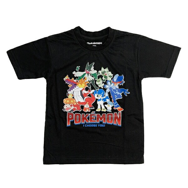 タ*コ様 ポケットモンスター　ポケモン　ミニトレーナーズファイル　平成レトロ　T タ*コ様 ポケットモンスター ポケモン ミニトレーナーズファイル