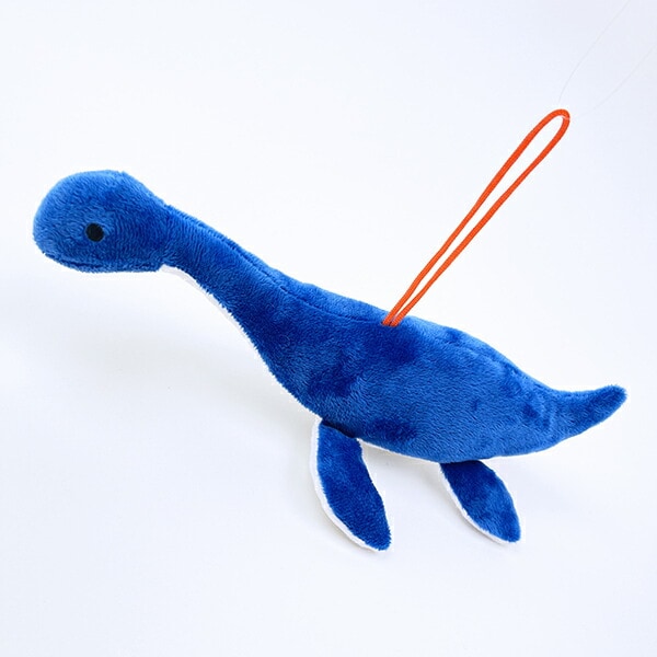 [}C]ӂ_Ci\[RNV {ih vVITEX Xgbvt ʂ (u[) /p[tFNgE[hEg[L[iPerfect World Tokyoj