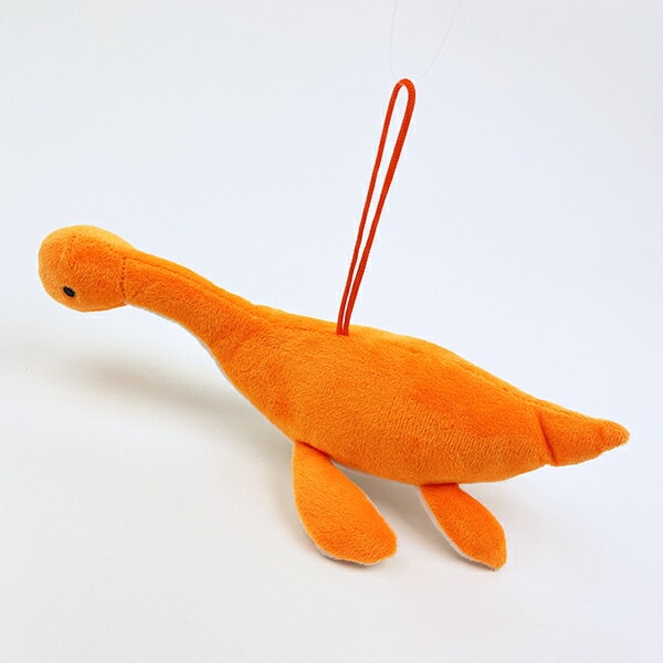 [}C]ӂ_Ci\[RNV {ih vVITEX Xgbvt ʂ (IW) /p[tFNgE[hEg[L[iPerfect World Tokyoj