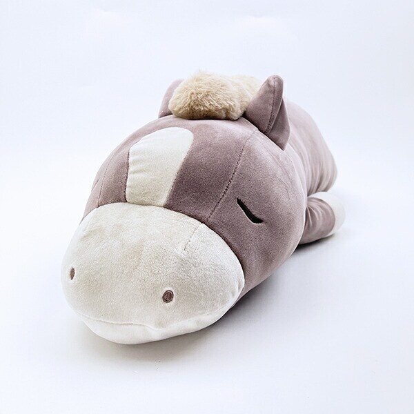 [}C]v~A˂ނ˂ z[[ n ʂݕ (L) O[W Ԃ͂ 2026 x/p[tFNgE[hEg[L[iPerfect World Tokyoj
