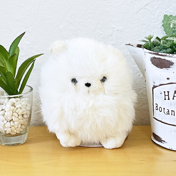 ポメラニアン ぬいぐるみ 2点 新品タグ付 残りわずか わたぽ ポメラニアン ぬいぐるみ | パーフェクト・ワールド