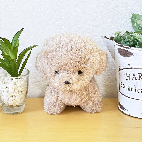 わたぽ トイプードル ぬいぐるみ | パーフェクト・ワールド