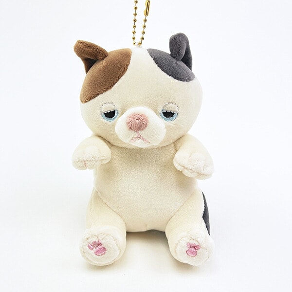 [}C]˂ނ˂ރAj}Y 䂸 `F[}XRbg ˂ނ˂10thAjo[T[/p[tFNgE[hEg[L[iPerfect World Tokyoj