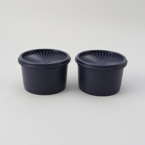 ミニデコレーター2個入 ノクターナルシーブルー ＜Tupperware
