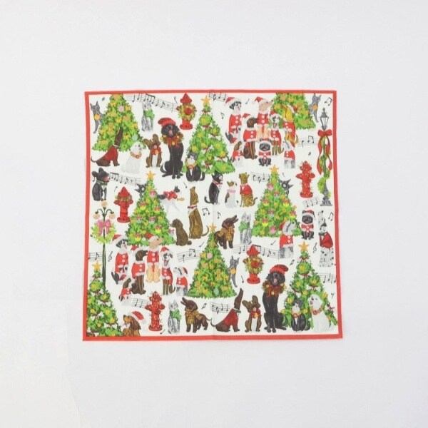 [�}���C]�J�X�p�� �y�[�p�[�^�I�� �L�������C���y�b�g/212�L�b�`���X�g�A�i212 KITCHEN STORE�j ���̑�