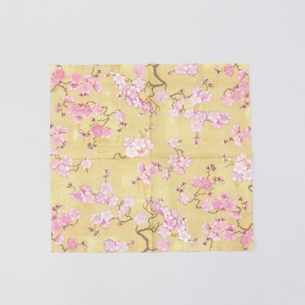 [�}���C]�J�X�p���y�[�p�[�^�I�� 10�� �v�����u���b�T�� GD/212�L�b�`���X�g�A�i212 KITCHEN STORE�j ���̑�