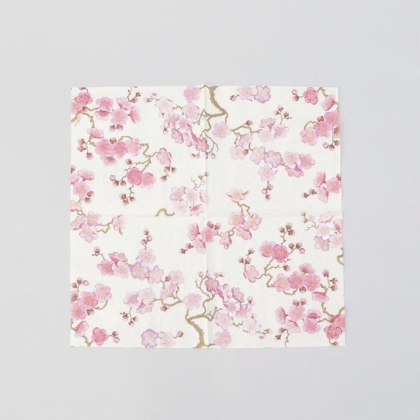 [�}���C]�J�X�p���y�[�p�[�^�I�� 10�� �v�����u���b�T�� �p�[��/212�L�b�`���X�g�A�i212 KITCHEN STORE�j ���̑�