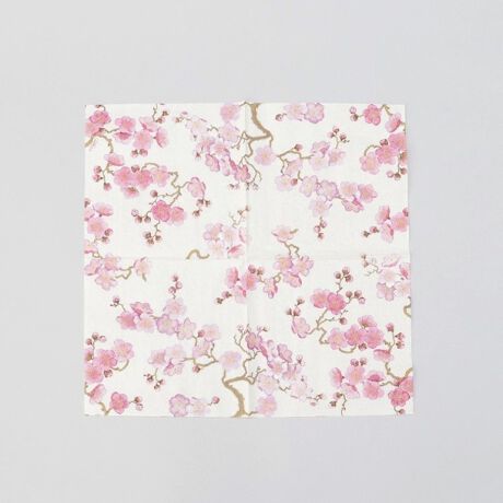 [^ԁFN7869567]FG̃JXpЂ̃y[p[^IBӂƏ_炩GȂAjɂu3dˁv̂ƂB؂ȉƑ̌ɐĜAɔz؍ނIсAqlɂDCNgĂ܂BVNȂǃn̓̂ĂȂɂ߂łBy舵@zH/@:~dqW:~I[u:~ΉM:--ϔM/ϗ≷x:--̑:--yȐidlzd:54ge:10聦Ɩ̊֌WɂAۂFČꍇ܂B܂Ap\REX}[gtHȂǂ̊ɂA኱iƉ摜̃J[قȂꍇ܂B