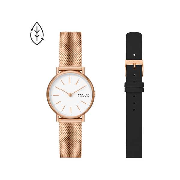 SKAGEN スカーゲン 時計の箱 - 時計