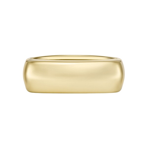 [}C]tHbV ANZT[ O w JF04586710 Fossil/tHbViFOSSILj S[h