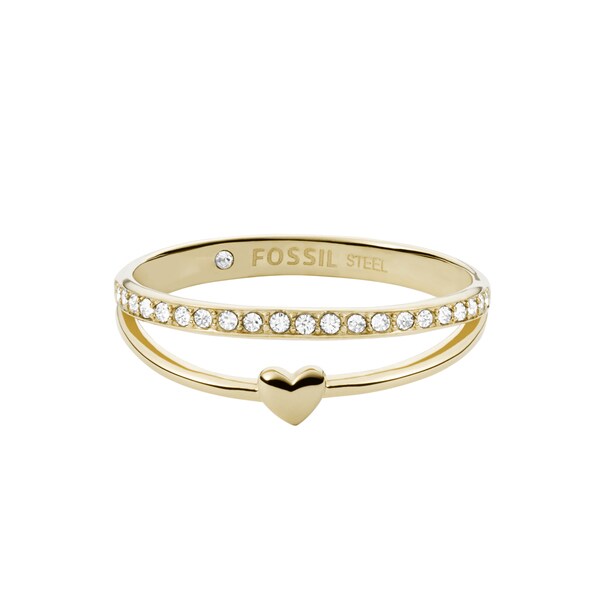 [}C]tHbV ANZT[ O w 7.3 Fossil/tHbViFOSSILj S[h