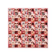 フェイラー(FEILER)のルック！マイドッグ　プティバス