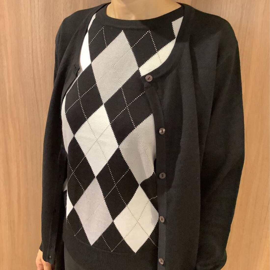 アンサンブルプルオーバーカーディガン 美品】イエナ ALBA