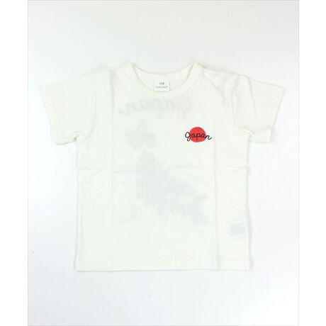 [^:11333700]100ŒʋĈ悢V̔TVcłB900~̃v`vV[YłBTCY̓xr[TCYLbYTCY܂Ŏ葵ĂAxr[TCY͌JdlłB