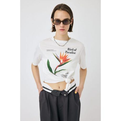 [^ԁF010IS390-4031]yASYMMETRY FLOWER TEE ^ AVg[t[TEEz|CgԂ̃`[tvg̑u₩TVcBfBe[ɊyԂ`[tɂOtBbNfUCvgBԂڂ䂭Ă炵TVcłB̓AVg[ȃfUCĐ񂾃AW\łBX^COŃEGXgĂ炵Ȃ߂łBn:n:Lk::îCɓo^CɓACe̍ēׁE݌1_Ȃǂ̒ʒm󂯎邱Ƃł܂BuĥCɓo^VACeׂ̓lCACe̍ēׁA߃gsbNXȂǁAuh̏󂯎邱Ƃł܂B[ӎ]摜̏i̓TvłBۂ̏iƎdlAH኱قȂꍇ܂B摜̏i͌̏Ǝ˂pxAg̃j^[ɂAƐFقȂꍇ܂BpA舵̍ۂ́AAeV^OmFB