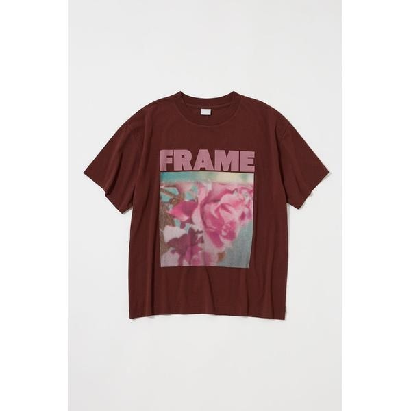 [}C]FRAME OF A FILM TEE/}EW[iMOUSSYj BRN