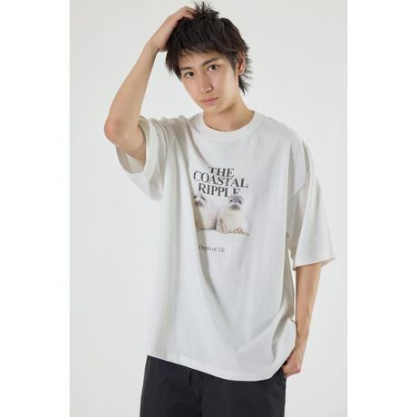 [^ԁF421ISR90-1001]|CgBe[Wɉo邽߂ɓȋZ@ŃvgAj}tHgTVcBfBeB[NAʖ킸̕ɒpĒfUCłBX^COfj⃏[Npcɍ킹āAAJWX^C̃fUCvfƂĂ߁BnƂnƃi`ȕIȃvgTVcBBe[Ŵ镗ŁAނقǂɖô͓IłBOEgpA@ۂ̊ԂɋԂAKxȋC܂ł邽߃ViUĵ̐nłBFȂ򊴁FȂLkFȂ@nFȂ[ӎ]摜̏i̓TvłBۂ̏iƎdlAH኱قȂꍇ܂B摜̏i͌̏Ǝ˂pxAg̃j^[ɂAƐFقȂꍇ܂BpA舵̍ۂ́AAeV^OmFB