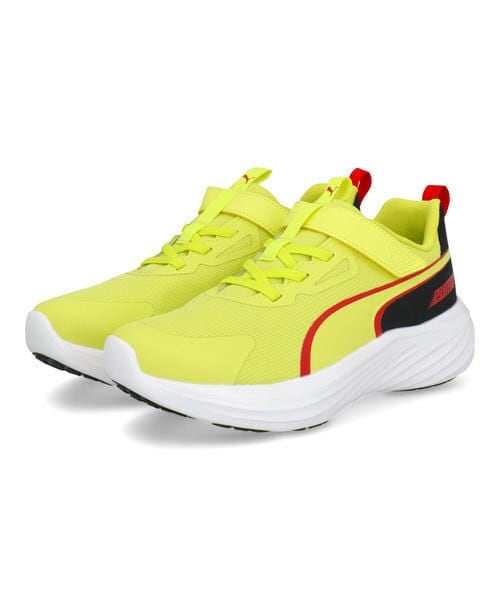 [}C]PUMA v[} SPEED MONSTER V5yyʁzLbYXj[J[ ^ Xs[hf /v[}iPUMAj CG[/Rr